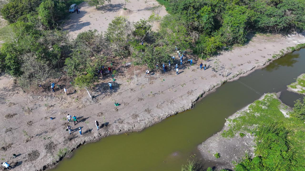 REALIZA PMA REFORESTACIÓN DE LA LAGUNA SAN JULIÁN EN VERACRUZ