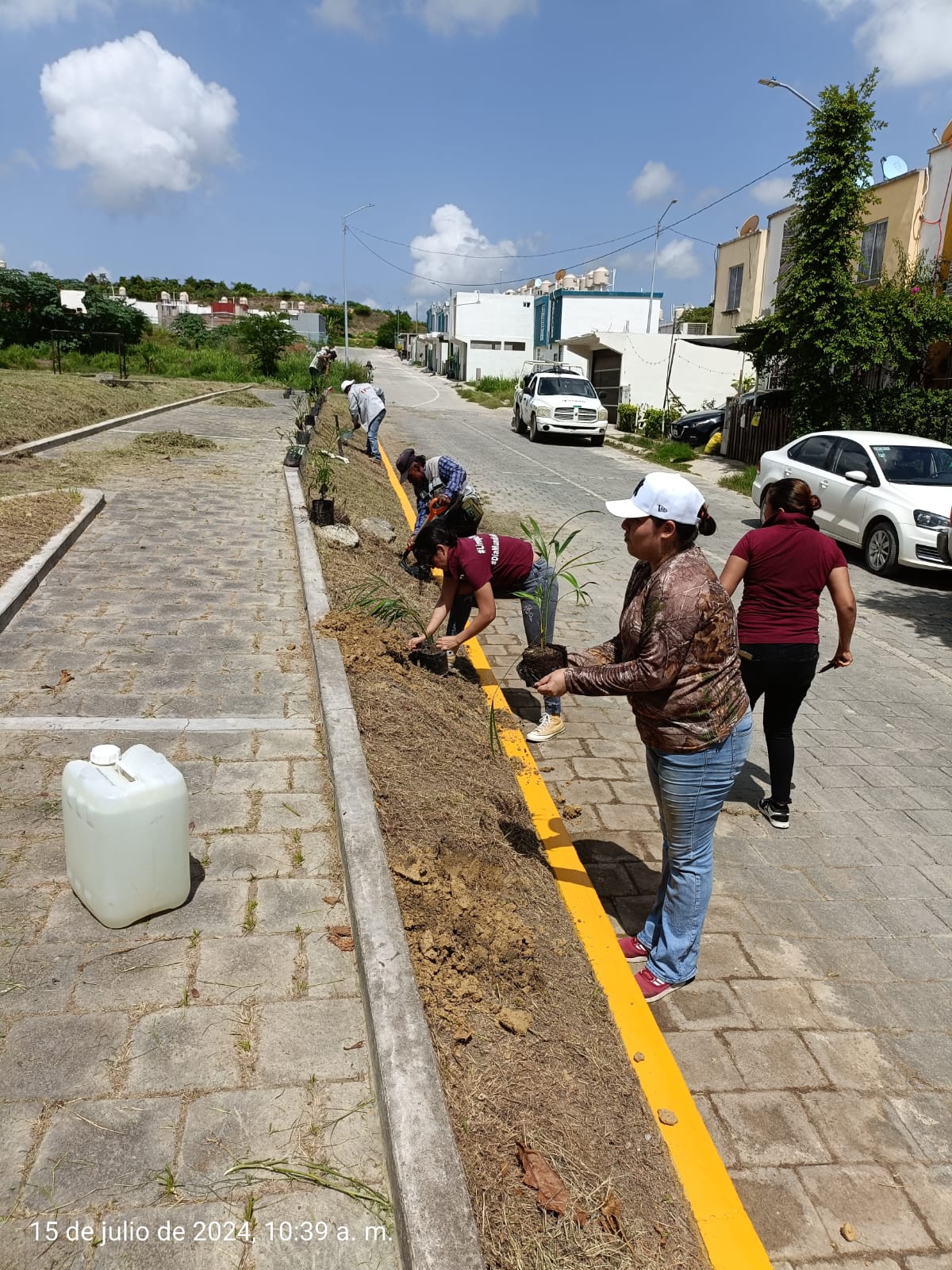 Se ponen en marcha acciones de reforestación en Tuxpan.